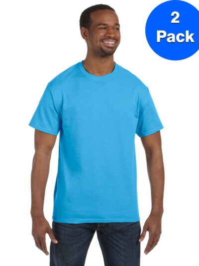 Mens 6.1 oz. Tagless T-Shirt 5250T (2 PACK)